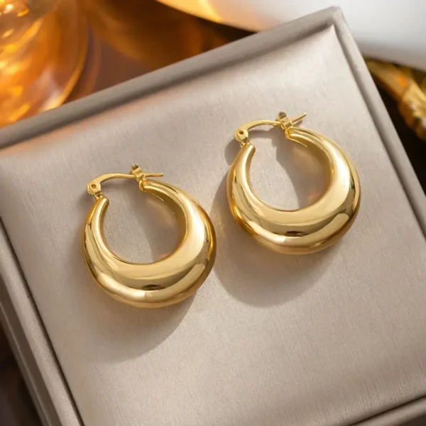 Chunky Hoop Earrings